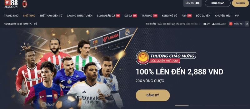 cá cược T League tại M88