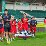 cá cược V League