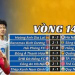 vòng 14 V-League 2024/25