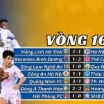 Vòng 16 V-League 2024/25