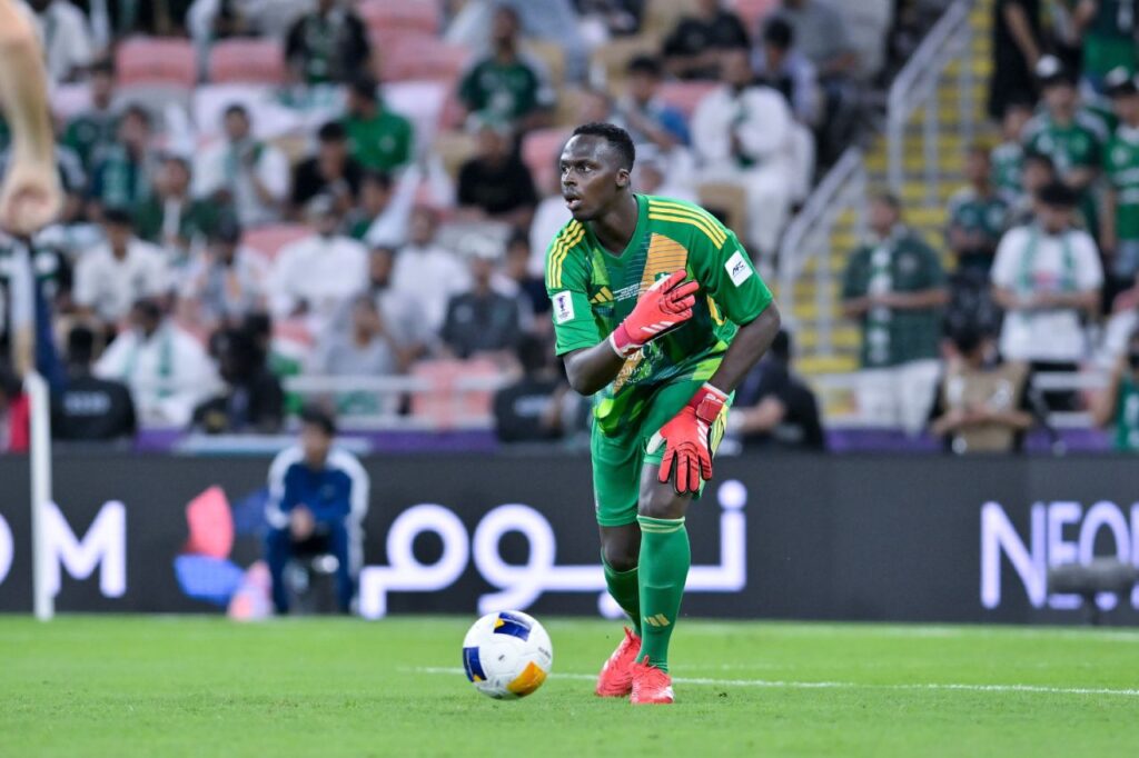 Édouard Mendy là thủ môn hay nhất giải đấu. 