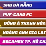 V-League 202526 Danh Sách 5 Đội Bóng Chật Vật Trụ Hạng