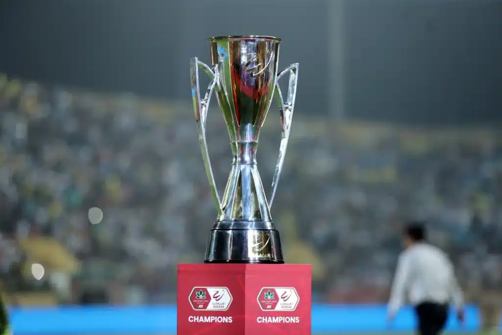 V-League - giải bóng đá cấp câu lạc bộ cao nhất của quốc gia Việt Nam. Ảnh: VFF