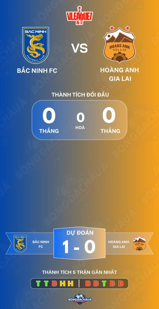 Bac-Ninh-vs-Hoang-Anh-Gia-Lai-30-10